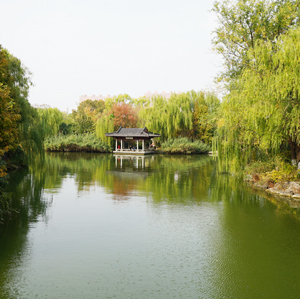 浮生三記——大明湖