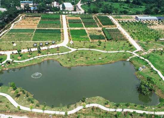 Fruits, vegetables, fish and birds in the garden —— the Mine ecological rehabilitation of Jiangxi Yadong Cement