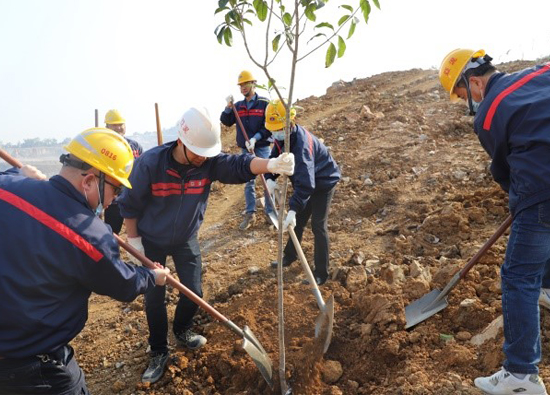 Greening mining area Jiangxi Yadong cement holds tree planting activities