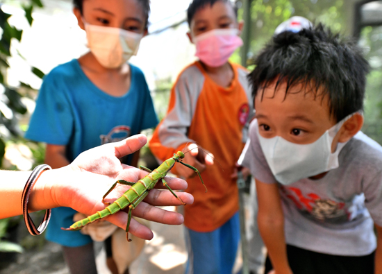 Asia Cement Corporation's Ecological Party follows the bamboo knot insects