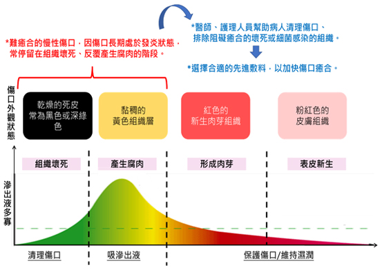 How to choose dressings when facing 