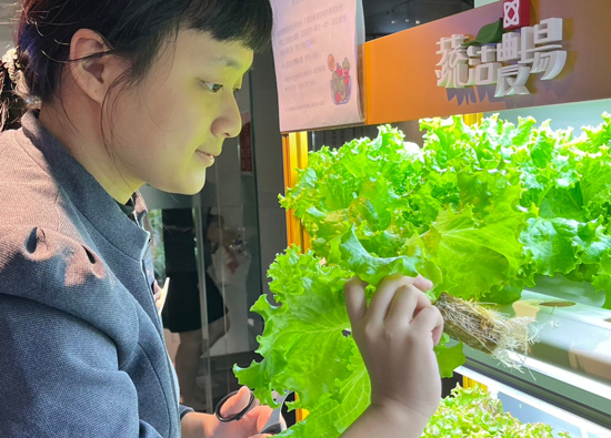 FE SOGO Department stores move vegetable fields into the office to eat and eat healthily