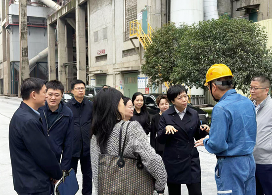 Liu Xiaochen, Section Chief of the Taiwan Affairs Office of Sichuan Province, led a delegation to Sichuan Yadong Cement for research