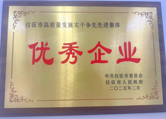 Oriental Union Chemical Corporation Petrochemical (Yangzhou) has been awarded the title of Excellent Enterprise in Yizheng City for 2024