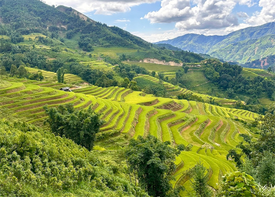 BẢN LIỀN - LÀO CAI: CHỐN BÌNH YÊN CHO NHỮNG AI YÊU THIÊN NHIÊN VÀ VĂN HÓA BẢN ĐỊA