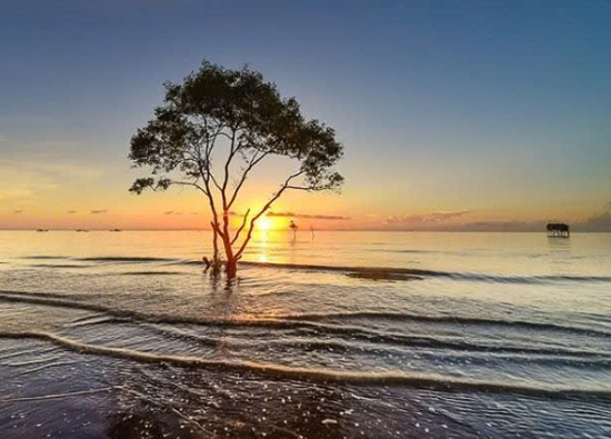 BIỂN TÂN THÀNH – GÒ CÔNG: VẺ ĐẸP HOANG SƠ GIỮA MIỀN TÂY PHÙ SA