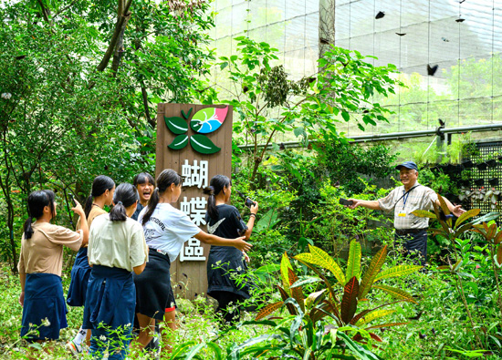 亚泥MSCI ESG评级升至AA级　跻身建材业领先群